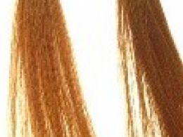 2012Ⱦl(f)ɫȫD