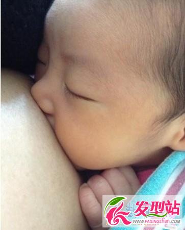 哺乳照